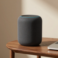 Smart Speaker with Voice Assistant